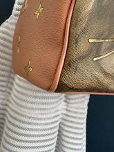 Lade das Bild in den Galerie-Viewer, LOUIS VUITTON SPEEDY FRAGONARD X JEFF KOONS