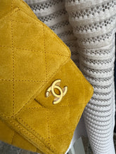 Lade das Bild in den Galerie-Viewer, CHANEL 25 MINI WILDLEDER
