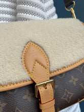 Lade das Bild in den Galerie-Viewer, LOUIS VUITTON DIANE COZYGRAM
