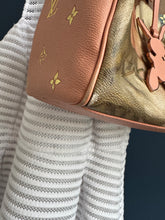 Lade das Bild in den Galerie-Viewer, LOUIS VUITTON SPEEDY FRAGONARD X JEFF KOONS

