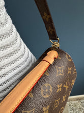 Lade das Bild in den Galerie-Viewer, LOUIS VUITTON MÉTIS ANIMAL
