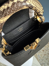 Lade das Bild in den Galerie-Viewer, LOUIS VUITTON MINI CAPUCINES PYTHON
