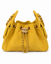 Lade das Bild in den Galerie-Viewer, CHANEL 25 MINI WILDLEDER
